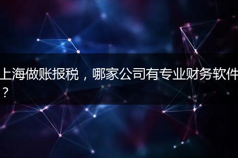 上海做账报税，哪家公司有专业财务软件？