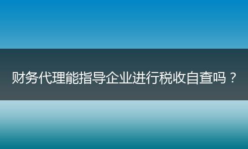 财务代理能指导企业进行税收自查吗？
