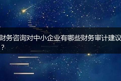 财务咨询对中小企业有哪些财务审计建议？