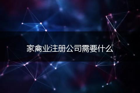 家禽业注册公司需要什么