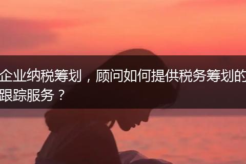 企业纳税筹划，顾问如何提供税务筹划的跟踪服务？