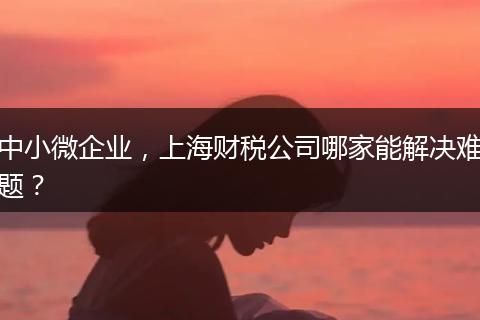 中小微企业，上海财税公司哪家能解决难题？