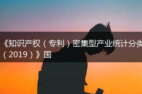 《知识产权（专利）密集型产业统计分类（2019）》国