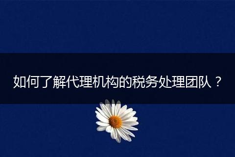 如何了解代理机构的税务处理团队?