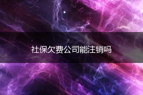 社保欠费公司能注销吗