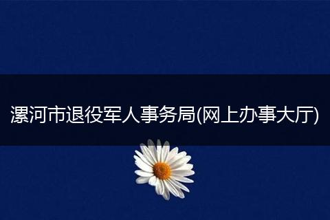 漯河市退役军人事务局(网上办事大厅)