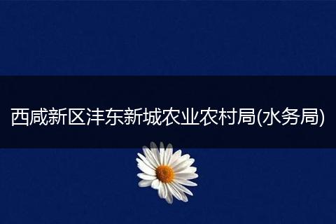西咸新区沣东新城农业农村局(水务局)