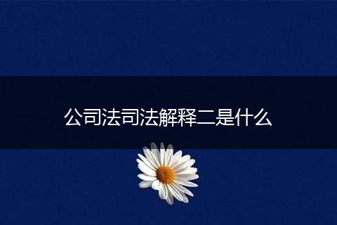 公司法司法解释二是什么