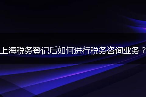 上海税务登记后如何进行税务咨询业务？