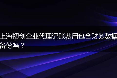 上海初创企业代理记账费用包含财务数据备份吗？