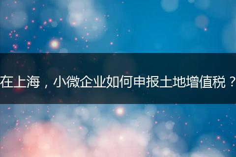在上海，小微企业如何申报土地增值税？