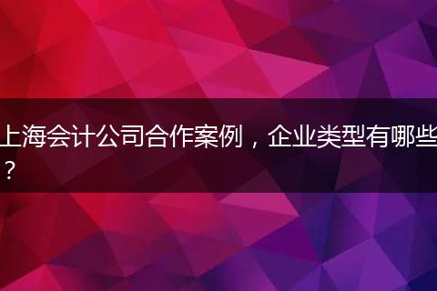 上海会计公司合作案例，企业类型有哪些？