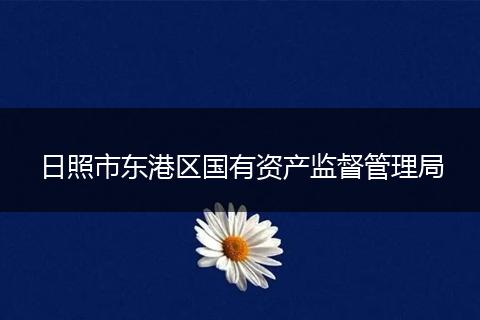 日照市东港区国有资产监督管理局