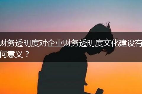 财务透明度对企业财务透明度文化建设有何意义？