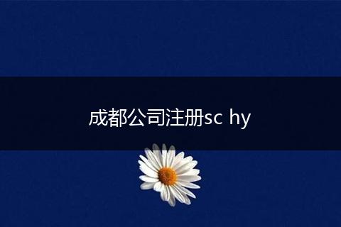 成都公司注册sc hy