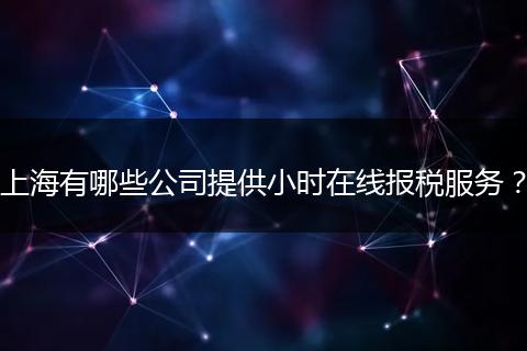 上海有哪些公司提供小时在线报税服务？