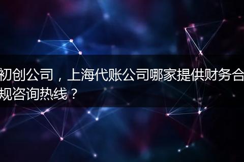 初创公司，上海代账公司哪家提供财务合规咨询热线？