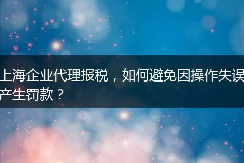 上海企业代理报税，如何避免因操作失误产生罚款？