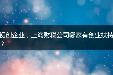 初创企业，上海财税公司哪家有创业扶持？