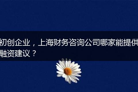 初创企业，上海财务咨询公司哪家能提供融资建议？