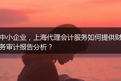 中小企业，上海代理会计服务如何提供财务审计报告分析？