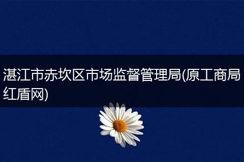 湛江市赤坎区市场监督管理局(原工商局红盾网)