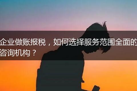 企业做账报税，如何选择服务范围全面的咨询机构？