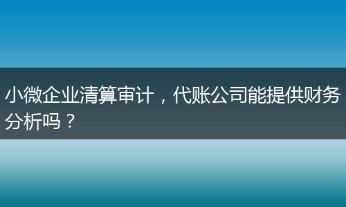 小微企业清算审计，代账公司能提供财务分析吗？