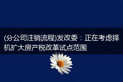 (分公司注销流程)发改委：正在考虑择机扩大房产税改革试点范围