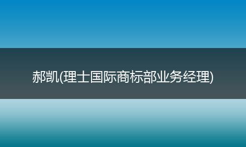 郝凯(理士国际商标部业务经理)