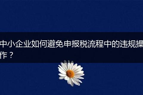 中小企业如何避免申报税流程中的违规操作？