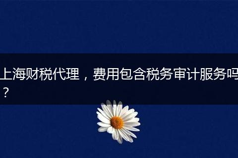 上海财税代理,费用包含税务审计服务吗?