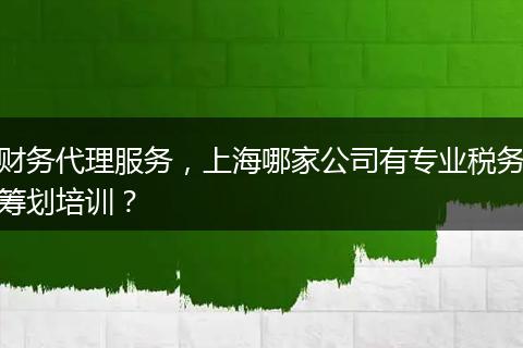财务代理服务，上海哪家公司有专业税务筹划培训？