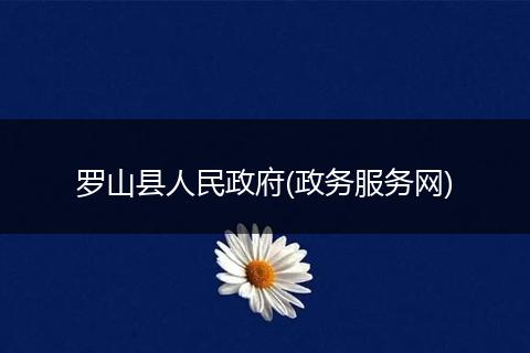 罗山县人民政府(政务服务网)