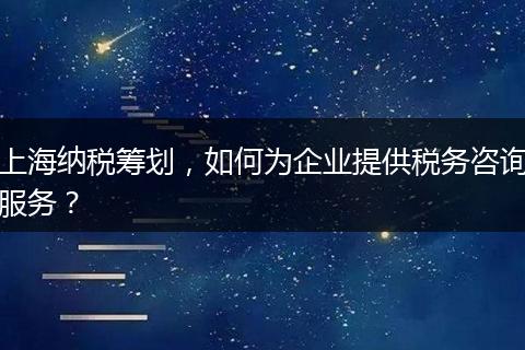 上海纳税筹划，如何为企业提供税务咨询服务？