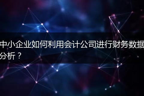 中小企业如何利用会计公司进行财务数据分析？