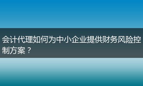 会计代理如何为中小企业提供财务风险控制方案?