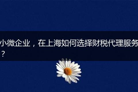 小微企业，在上海如何选择财税代理服务？