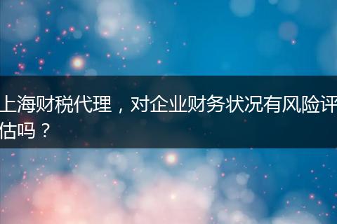 上海财税代理，对企业财务状况有风险评估吗？