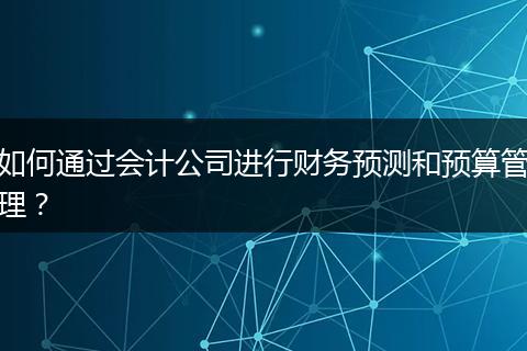 如何通过会计公司进行财务预测和预算管理？