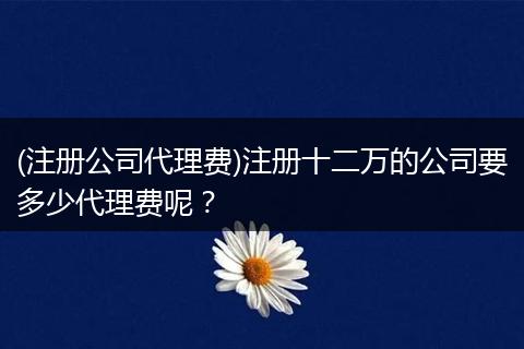 (注册公司代理费)注册十二万的公司要多少代理费呢？