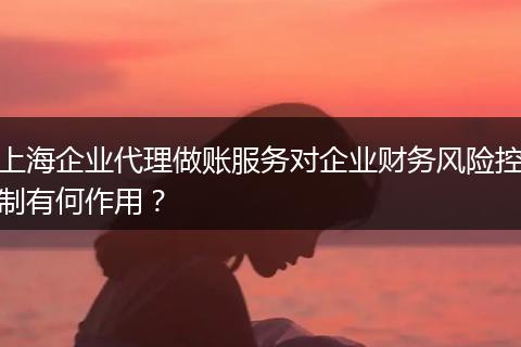 上海企业代理做账服务对企业财务风险控制有何作用？