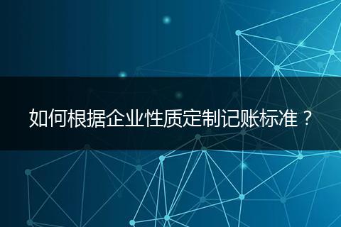 如何根据企业性质定制记账标准？