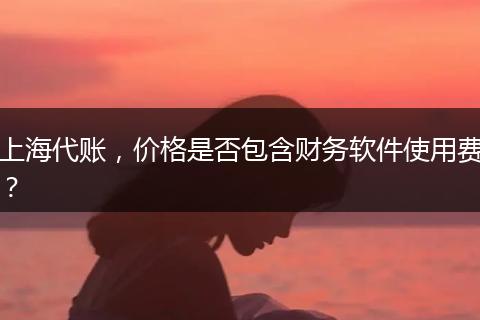 上海代账，价格是否包含财务软件使用费？