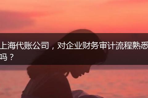 上海代账公司,对企业财务审计流程熟悉吗?