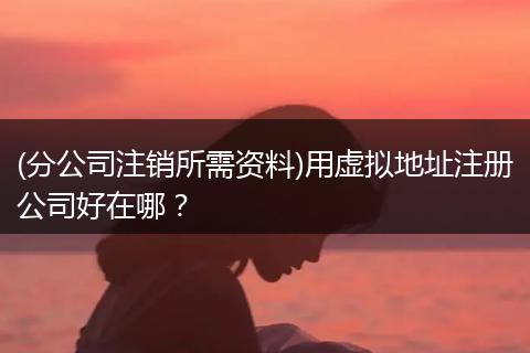 (分公司注销所需资料)用虚拟地址注册公司好在哪？