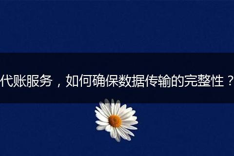 代账服务，如何确保数据传输的完整性？