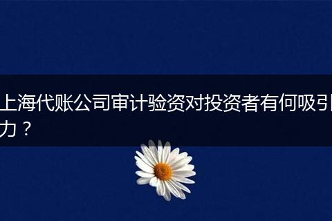 上海代账公司审计验资对投资者有何吸引力？