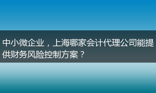 中小微企业，上海哪家会计代理公司能提供财务风险控制方案？