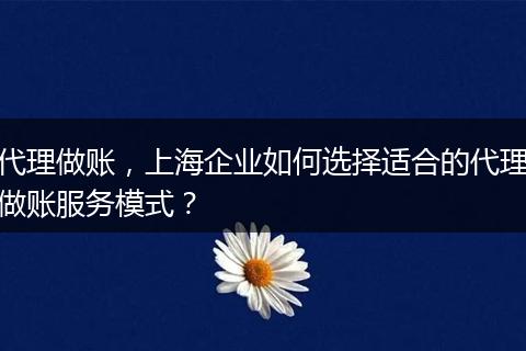代理做账，上海企业如何选择适合的代理做账服务模式？
